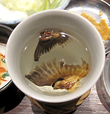 ヒレ酒.jpg