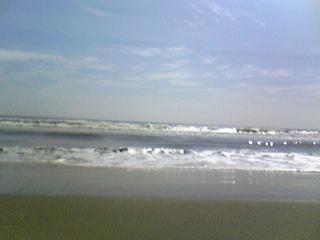 Image005~half.JPG
