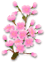 桜枝