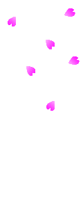 桜散る