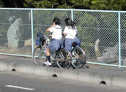 自転車 街撮り 女子高生 X.com