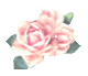 ΂