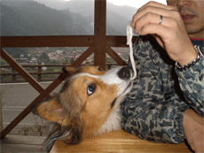 udo