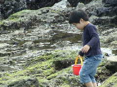観音崎2