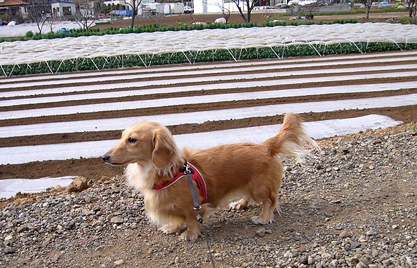 2008N329@N[