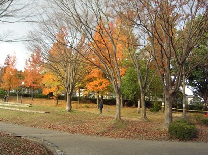 公園.JPG