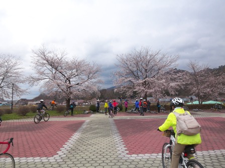 なんとか公園の桜も満開
