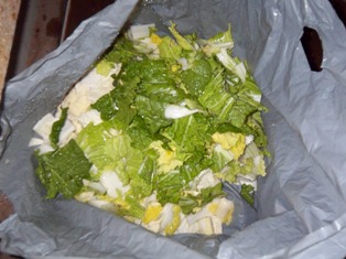 巨大な袋いっぱいの新鮮白菜