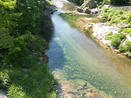新緑の前沢集落の川