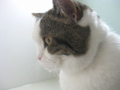 あご濡れ