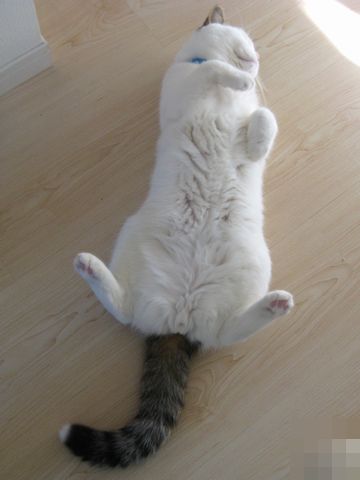 開き完成！