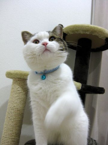 手が出ちゃう