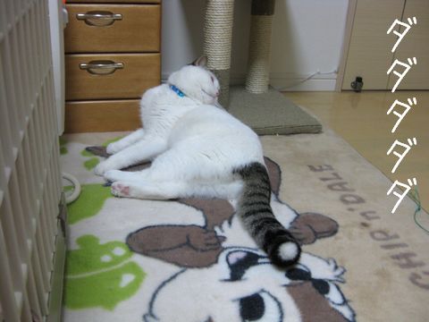 うるさいな・・・