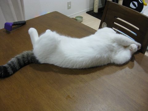 固けりゃいい！