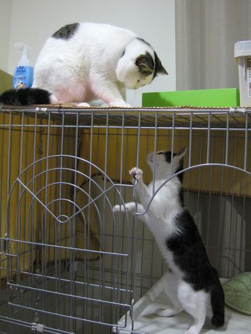 見えてんの？