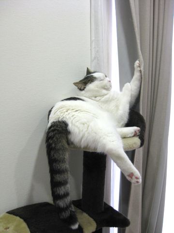 お気に入りの場所