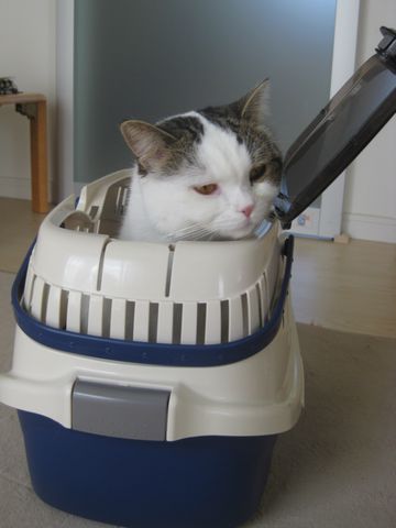 とりあえず入る