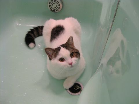 落ち着いてる・・・