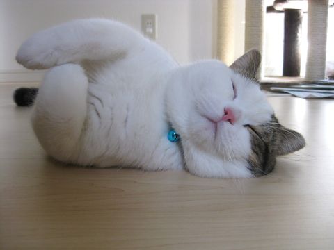 かわえぇ～～