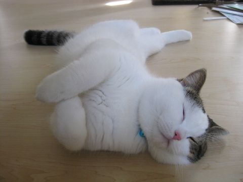 ひねり寝