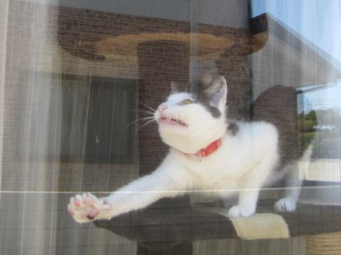 伸び