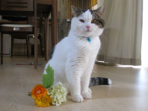 ８ヶ月になりました