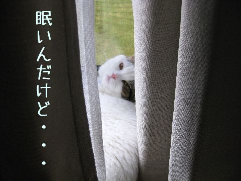 ジャマしないで