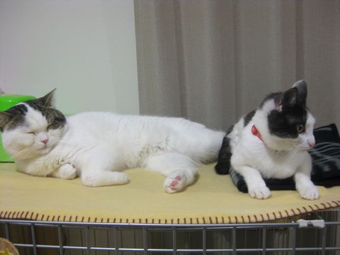 こうなってました
