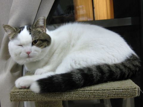 ウインク