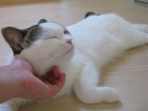 気持ちいい2