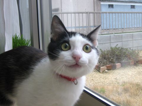 おもしろーい！
