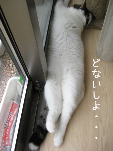 ちょっと悩んでみた