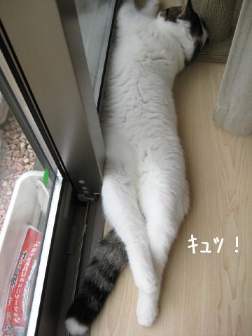 隠してみた