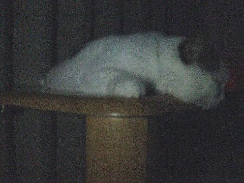 夜のもち