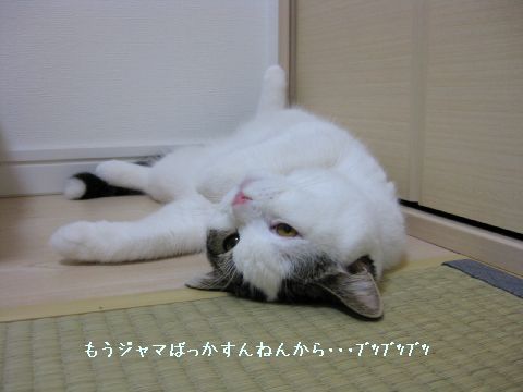 文句たれ