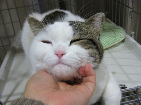 ご満悦