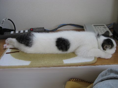伸び伸びもち