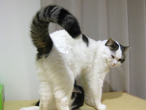 もう起きよう