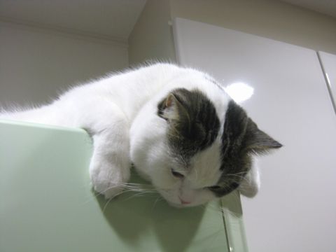 下が気になる