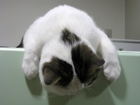 前から見るとこんな