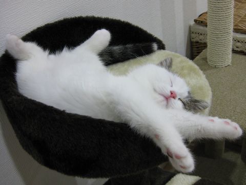 タワーの上でおっぴろげ