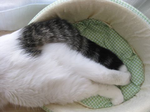 足だけベッド