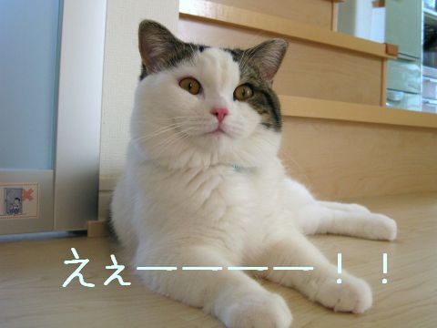 そんなぁ～