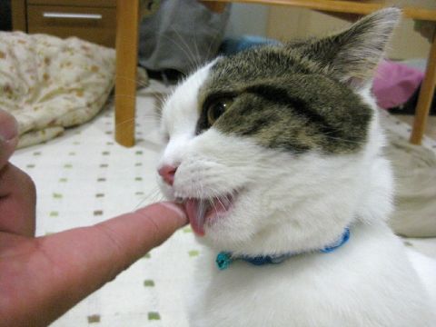 おいしい！-1