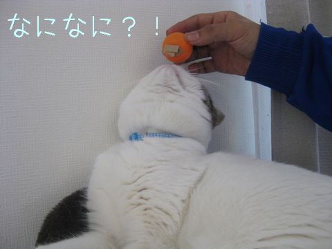 何やったん？