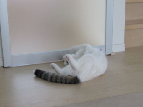 早く～～～