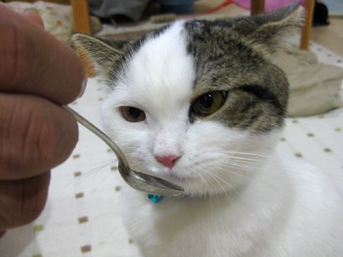 もうない…