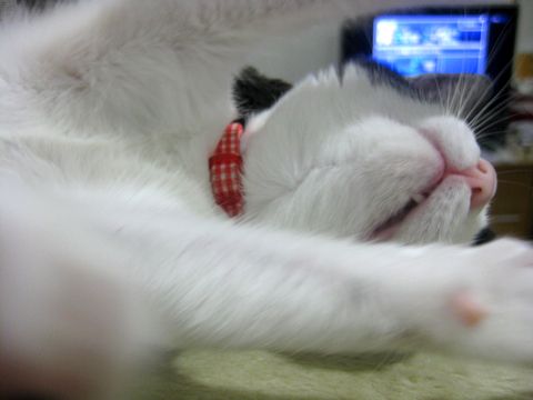 伸び～～～