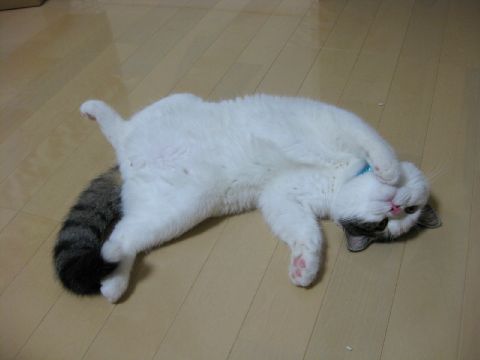 ちらっ2
