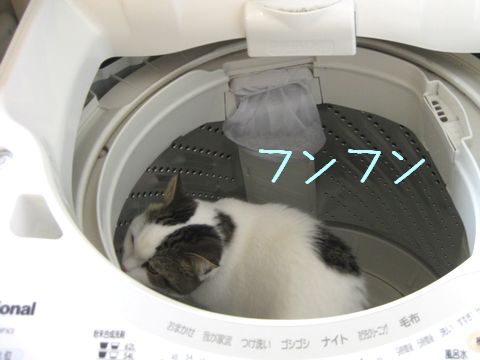 フンフン